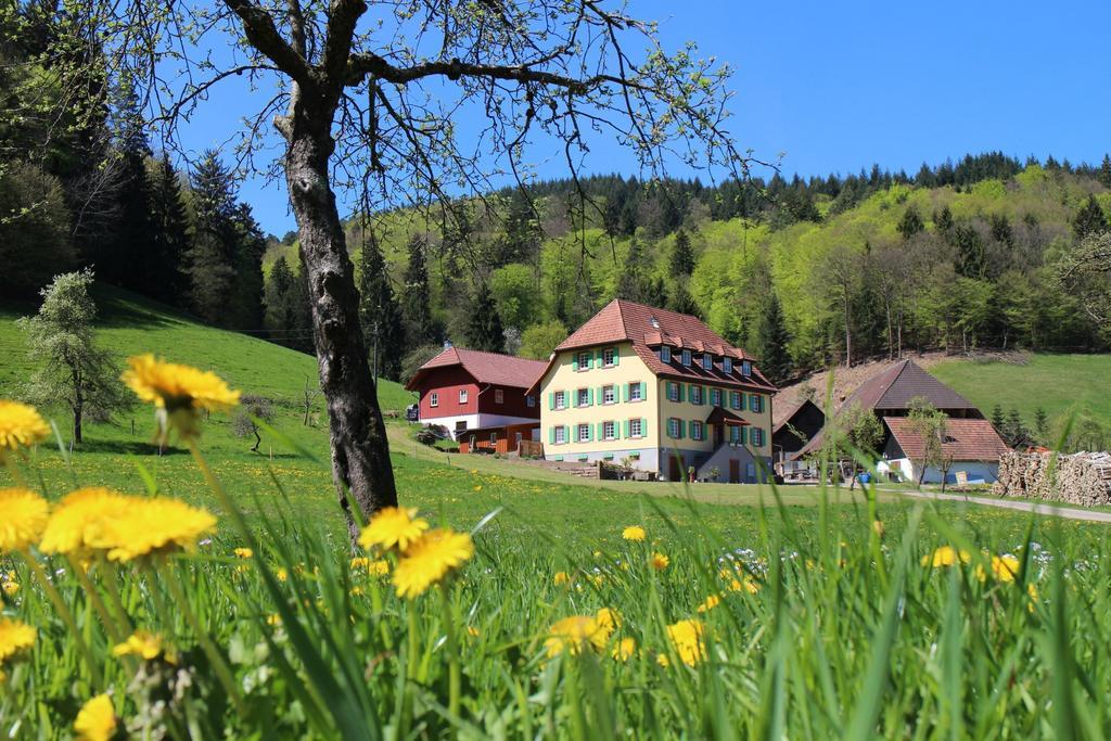 奥芬伯格霍夫公寓 Schuttertal 外观 照片
