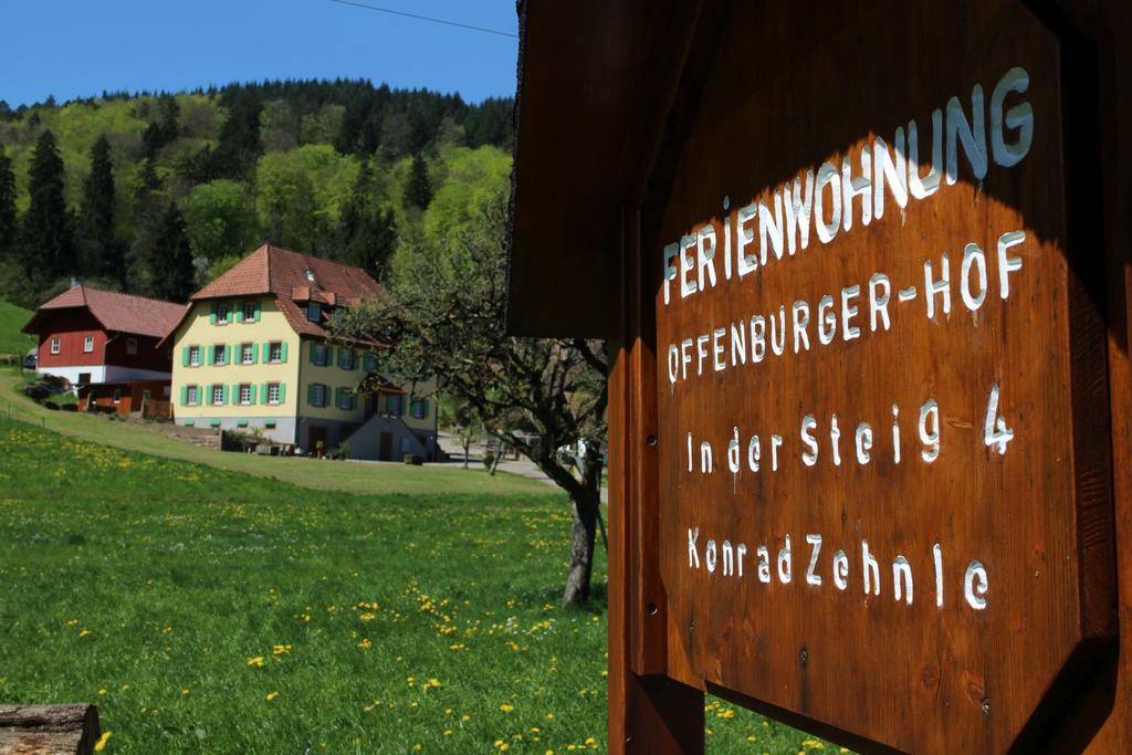 奥芬伯格霍夫公寓 Schuttertal 外观 照片
